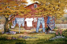 Clothesline in the Country D.Type
