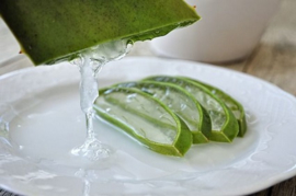 Aloe Vera Gel 98%