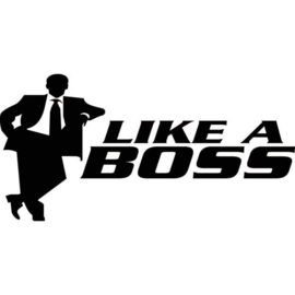 Like A Boss