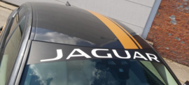 Jaguar Zonneband