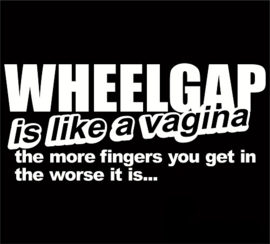 Wheelgap is like a Vagina