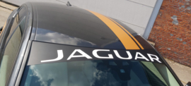 ????????Deze JAGUAR voorzien van een Striping, Side Decals, Zonneband met bijhorende sticker????????