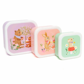 Petit Monkey Lunchboxen Animals Picnic