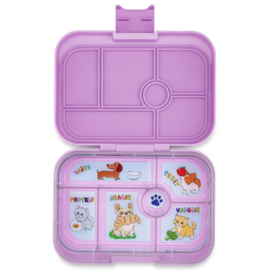 Yumbox Original 6 vakken Ami Purple - Cats & Dogs
