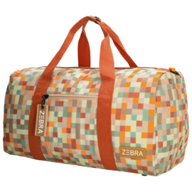 ZEBRA Reistas Levi Pixels