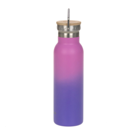 Lässig Drinkfles RVS Unique Gradient Purple
