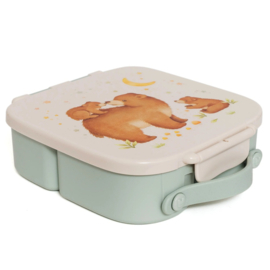 Petit Monkey Bento Lunchbox Bears and Stars