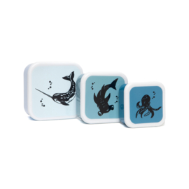 Petit Monkey Lunchboxen Sea Animals