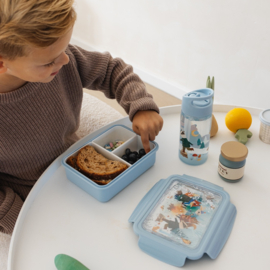 Petit Monkey Bento Lunchbox Bonfire Animals