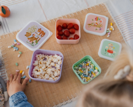 Petit Monkey Lunchboxen Animals Picnic