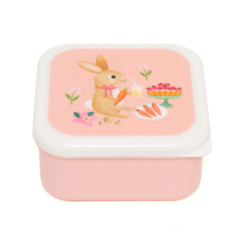Petit Monkey Lunchboxen Animals Picnic