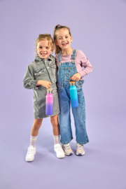 Lässig Drinkfles RVS Unique Gradient Purple