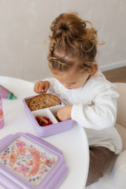 Petit Monkey Bento Lunchbox Birds Of A Feather