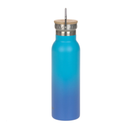Lässig Drinkfles RVS Unique Gradient Blue