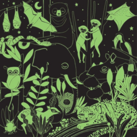 Mudpuppy Glow In The Dark Puzzel Jungle - 500 stukjes