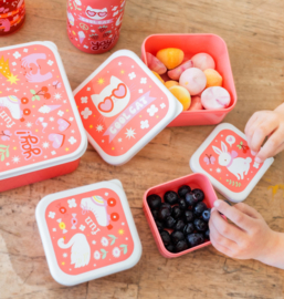 A Little Lovely Company Lunch- en Snackboxen Fun