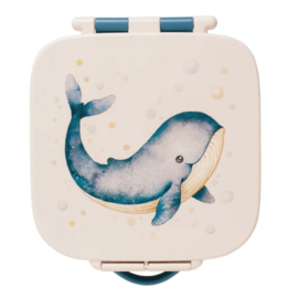 Petit Monkey Bento Lunchbox Whale