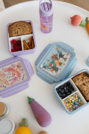 Petit Monkey Bento Lunchbox Birds Of A Feather