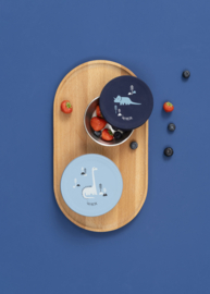 Fresk Snackboxen Set 2-delig Dino