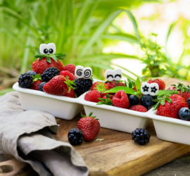 Lekkabox® Bento Prikkers Oogjes