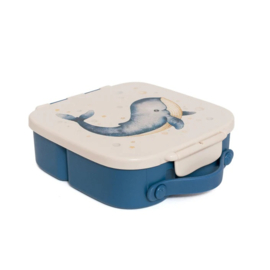 Petit Monkey Bento Lunchbox Whale