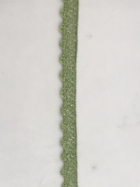 kant   kiwi  groen  € 1,95  per meter
