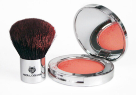 Mineral Evolution® Blush