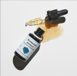 Echinacea extract