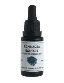 Echinacea extract