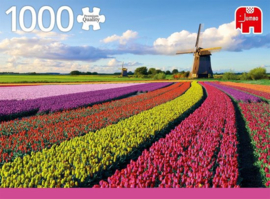 Jumbo Puzzel - Tulpenveld - 1000 Stukjes