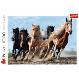 Galopperende Paarden - Trefl Art Collection - 1000 Stukjes