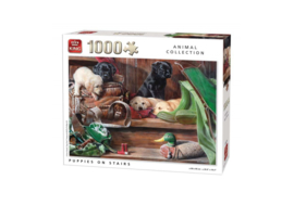 King Puzzel - Puppies On Stairs - Animal Collection - 1000 Stukjes