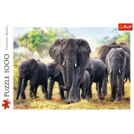 Afrikaanse Olifanten - Trefl Premium Quality Puzzel - 1000 Stukjes