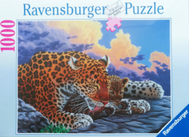 Ravensburger Puzzel - Even Samen - 1000 Stukjes