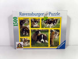 Ravensburger Puzzel - Hondenleven - 1500 Stukjes