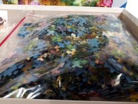 Ravensburger Puzzel - Feeënwoud - 1000 Stukjes