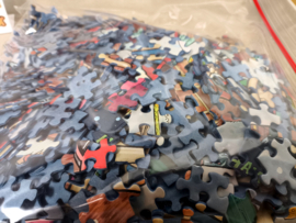 Ravensburger What If Puzzles No.9 - Santa & Rudolph - 1000 Stukjes