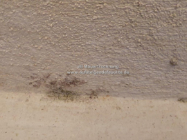 Schimmel an der Wand