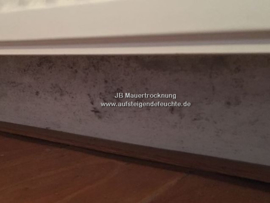 Schimmel an den Wänden