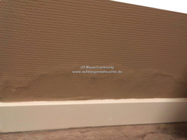 Putz löst sich (Innenwand)
