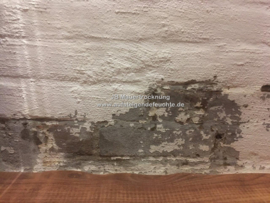 Putz löst sich (Innenwand)