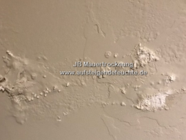 Blasen an der Wand