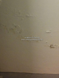 Blasen an der Wand