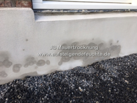aufsteigende Feuchte (Außenwand)