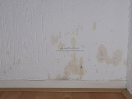 Flecken an der Wand (aufsteigende Feuchte)