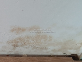 Flecken an der Wand (aufsteigende Feuchte)