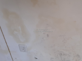 Flecken an der Wand (aufsteigende Feuchte)