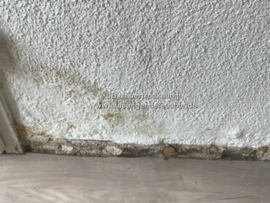 Flecken an der Wand (aufsteigende Feuchte)