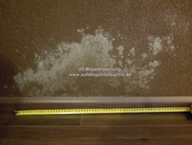 Schimmel an der Wand
