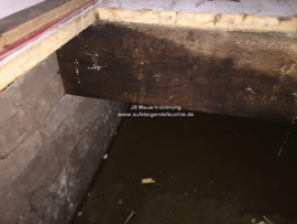 Holzbalken in feuchter Wand